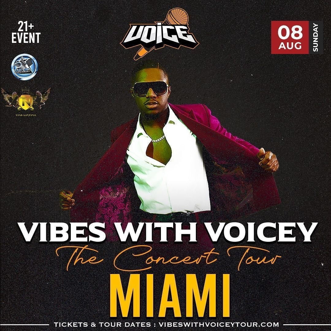 vibes with voicey tour.com