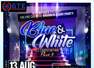 Blue & White Red Carpet Affair – Part 3