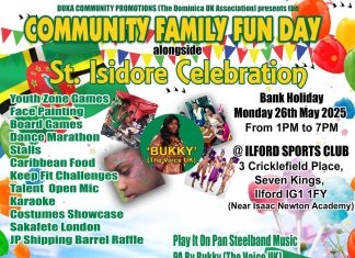 Community Family Fun Day