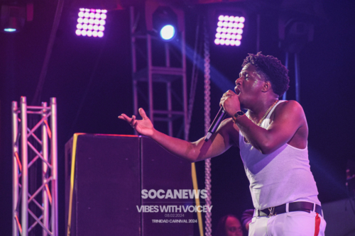 Vibes With Voicey 2024 (163)