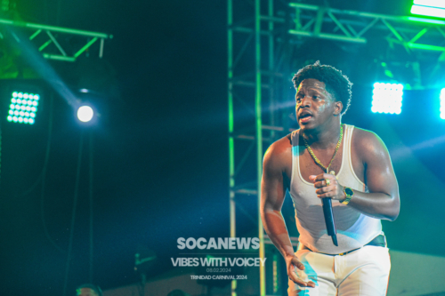 Vibes With Voicey 2024 (168)