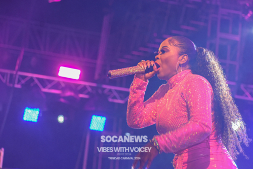 Vibes With Voicey 2024 (198)