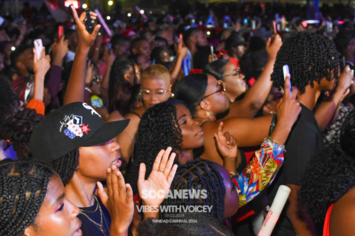 Vibes With Voicey 2024 (226)