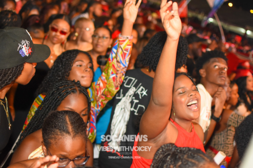 Vibes With Voicey 2024 (236)