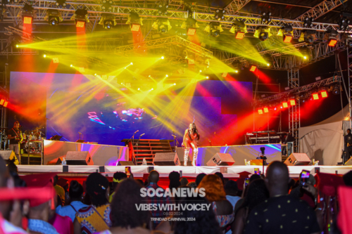 Vibes With Voicey 2024 (67)
