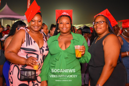 Vibes With Voicey 2024 (9)