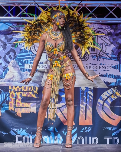 UCOM 2020 Band Launch (33)